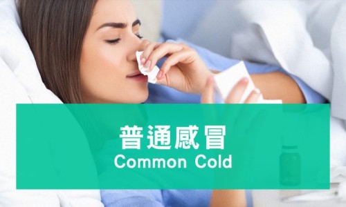 白酒泡玉米能逮野鸡吗-酒泡玉米喂鸡的功效与禁忌专区_酒泡玉米喂鸡的功效与禁忌专区_酒泡玉米喂鸡的功效网